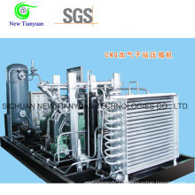 Soft-Start Low Noise CNG Cylinder Filling Gas Compressor